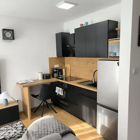 Centrum Apartment Olawa